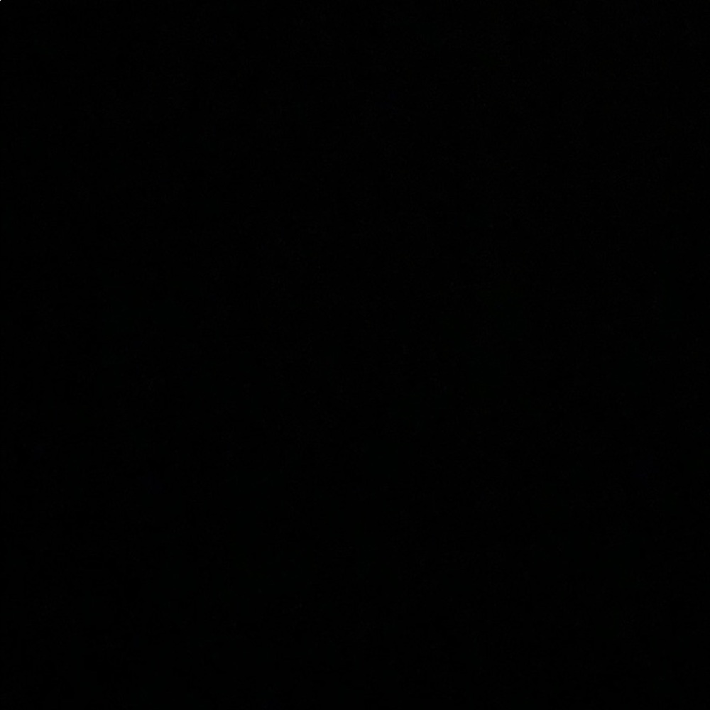 Meet your Posher, Rose